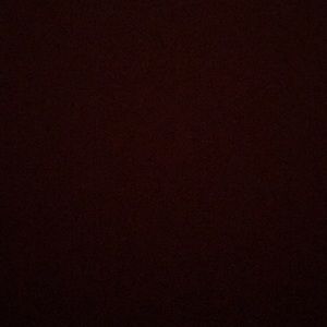 Meet your Posher, Zoey